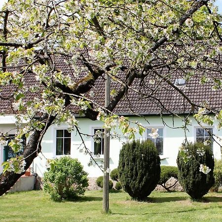 Pension Gestuet Lindenhof เทมพลีน ภายนอก รูปภาพ