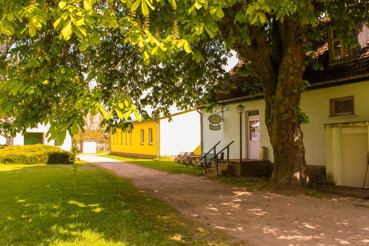 Pension Gestuet Lindenhof เทมพลีน ภายนอก รูปภาพ