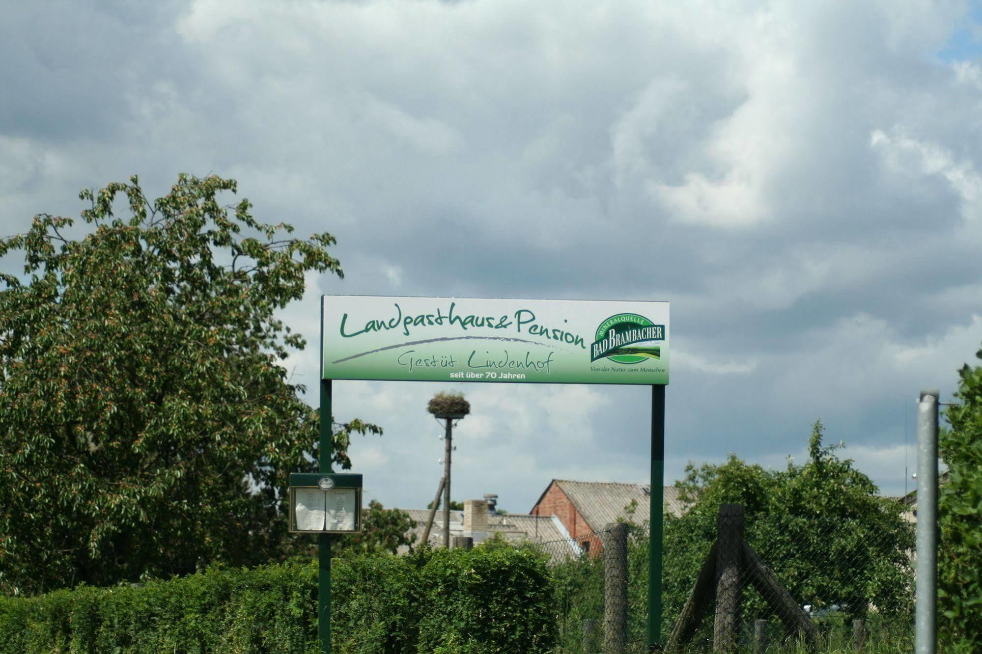Pension Gestuet Lindenhof เทมพลีน ภายนอก รูปภาพ